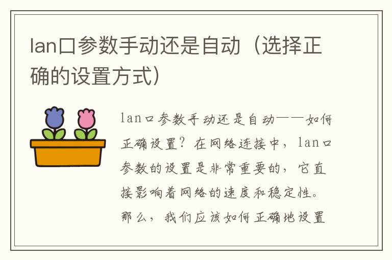 lan口參數(shù)手動還是自動（選擇正確的設置方式）