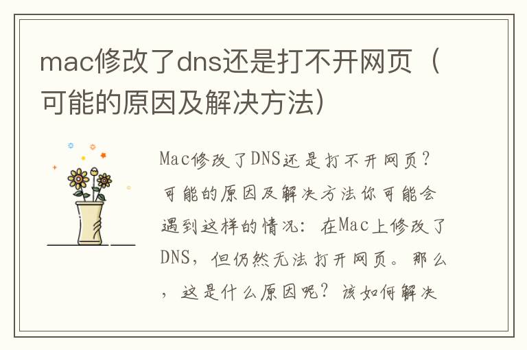 mac修改了dns還是打不開網頁（可能的原因及解決方法）