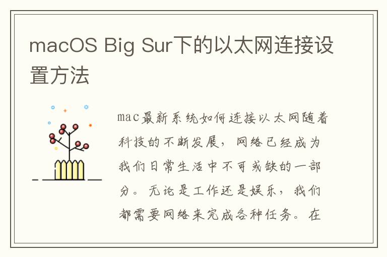 macOS Big Sur下的以太網連接設置方法