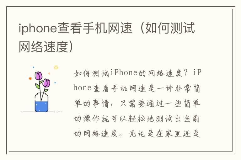 iphone查看手機(jī)網(wǎng)速（如何測(cè)試網(wǎng)絡(luò)速度）