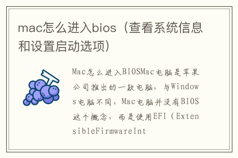 mac怎么進入bios（查看系統信息和設置啟動選項）