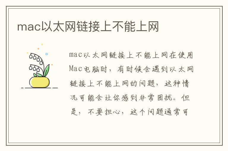 mac以太網鏈接上不能上網