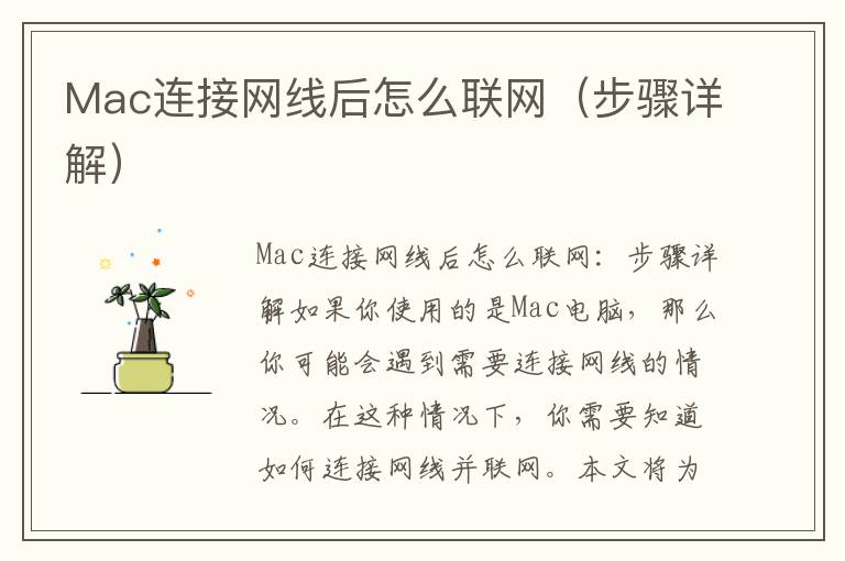 Mac連接網(wǎng)線后怎么聯(lián)網(wǎng)（步驟詳解）