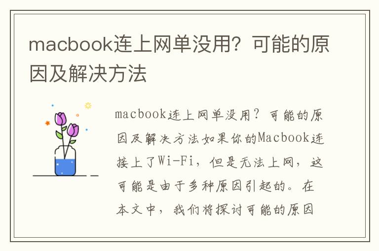 macbook連上網(wǎng)單沒用？可能的原因及解決方法